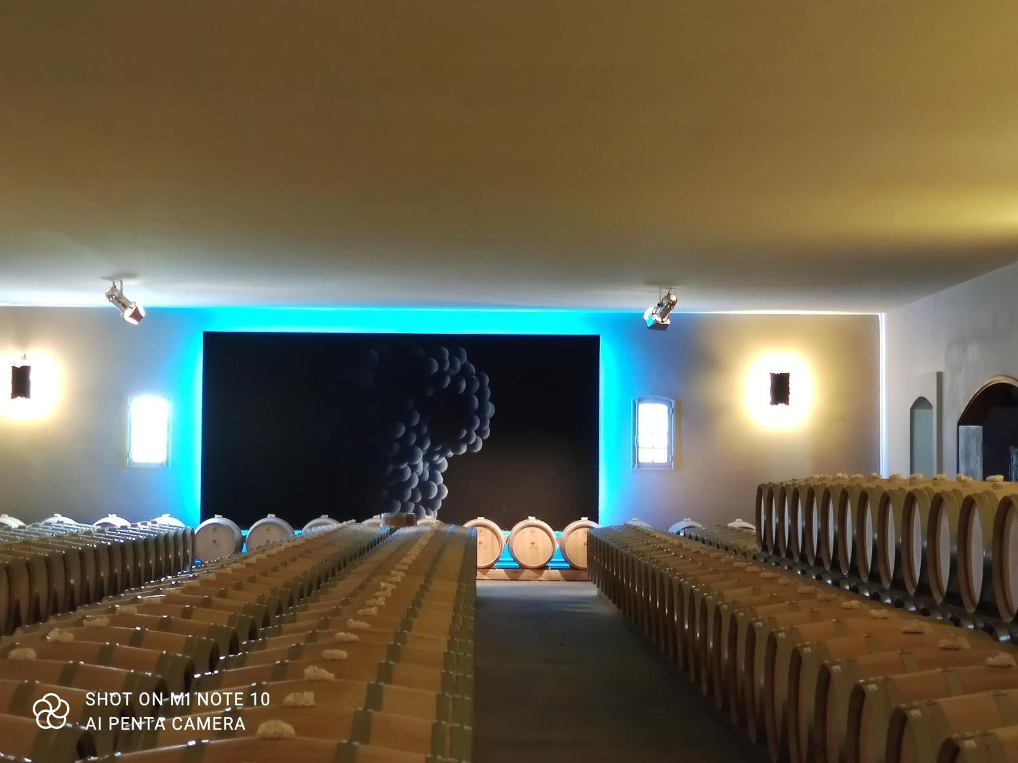 Villa Domaine des Prés de Joussac - Protocole sanitaire strict à Jau-Dignac-et-Loirac Extérieur photo
